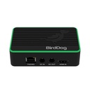 BirdDog Flex 4K IN. 4K Full NDI Encoder
